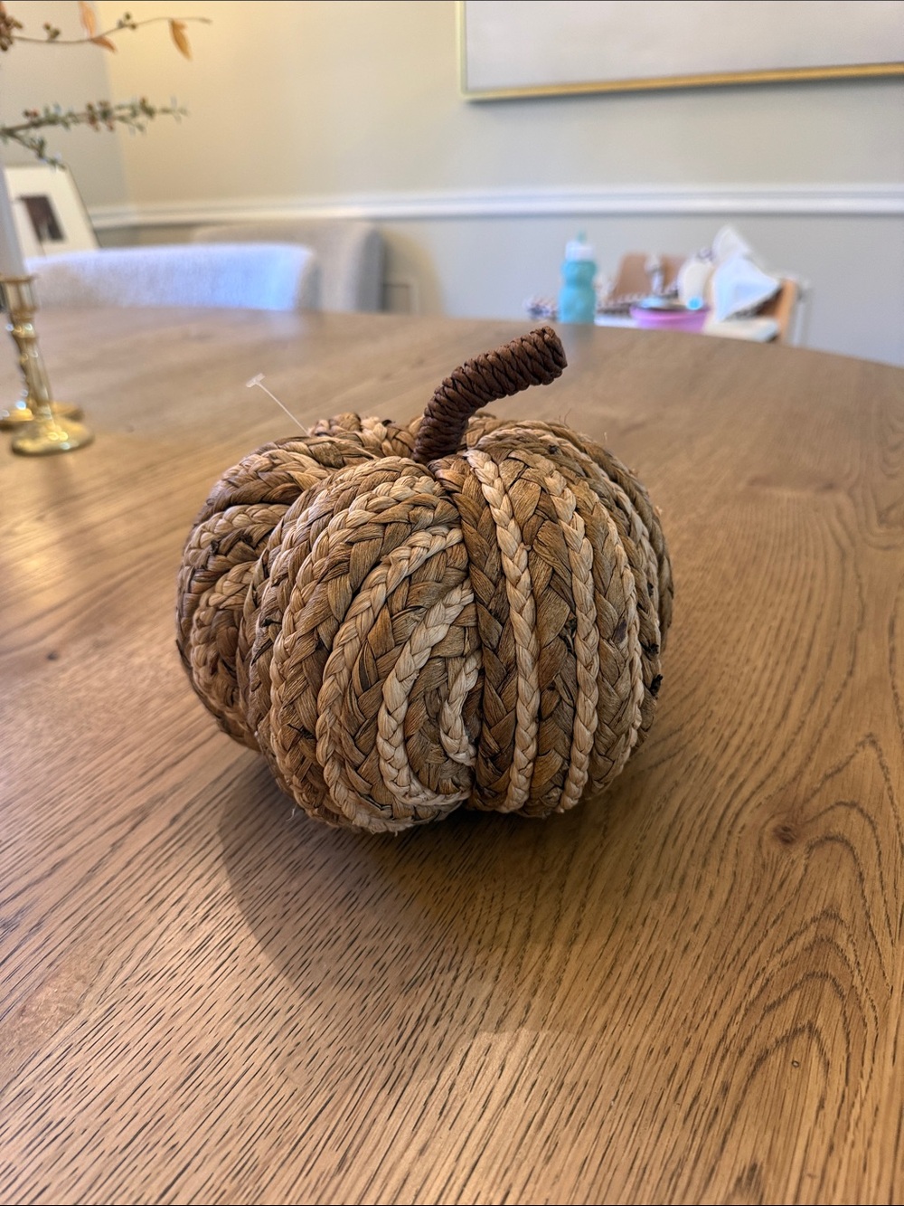 Threshold Braided Rope Pumpkin - Brown and Tan